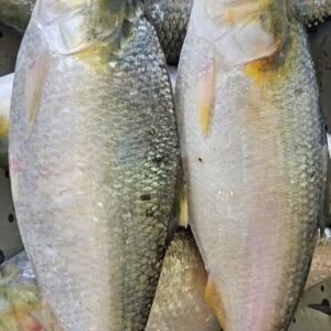 ১০ পিস মাছে ৫ কেজি ১৫০০ টাকা।